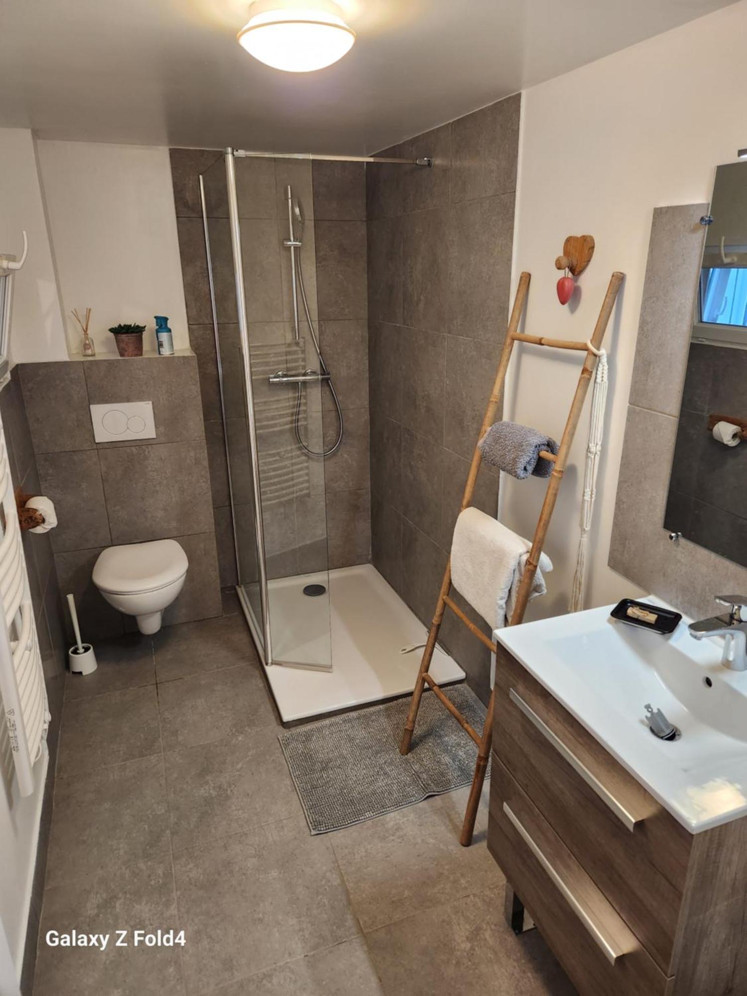 Figuets 3 Apartment Chateauneuf-de-Galaure ภายนอก รูปภาพ